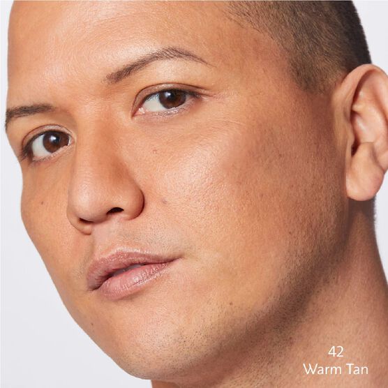 MATTE PERFECTION POWDER FOUNDATION
